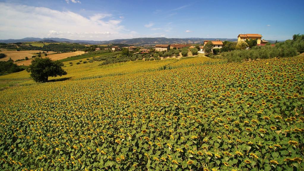 Colle San Giovanni 托迪 外观 照片
